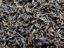 Ceylon Black Tea